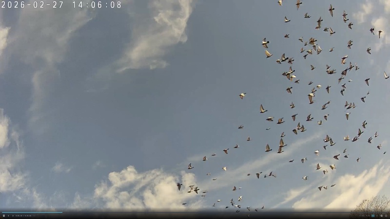 Évènement #775 — banc en vol