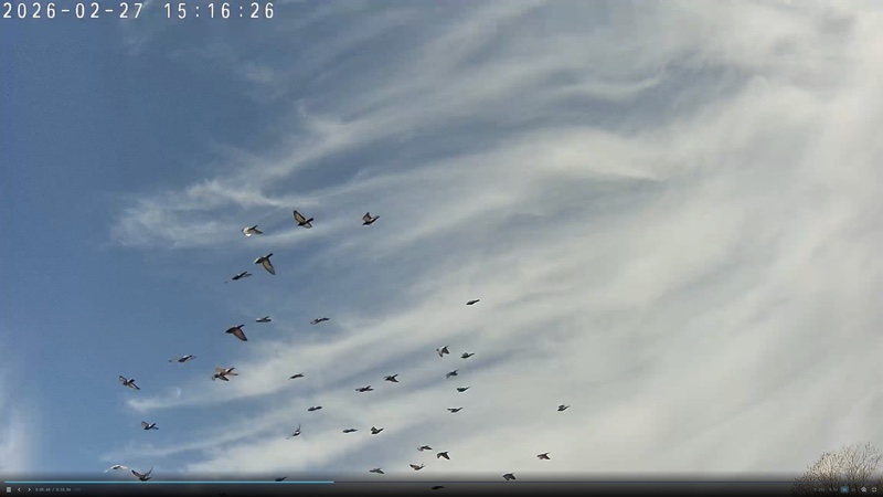 Évènement #813 — formation